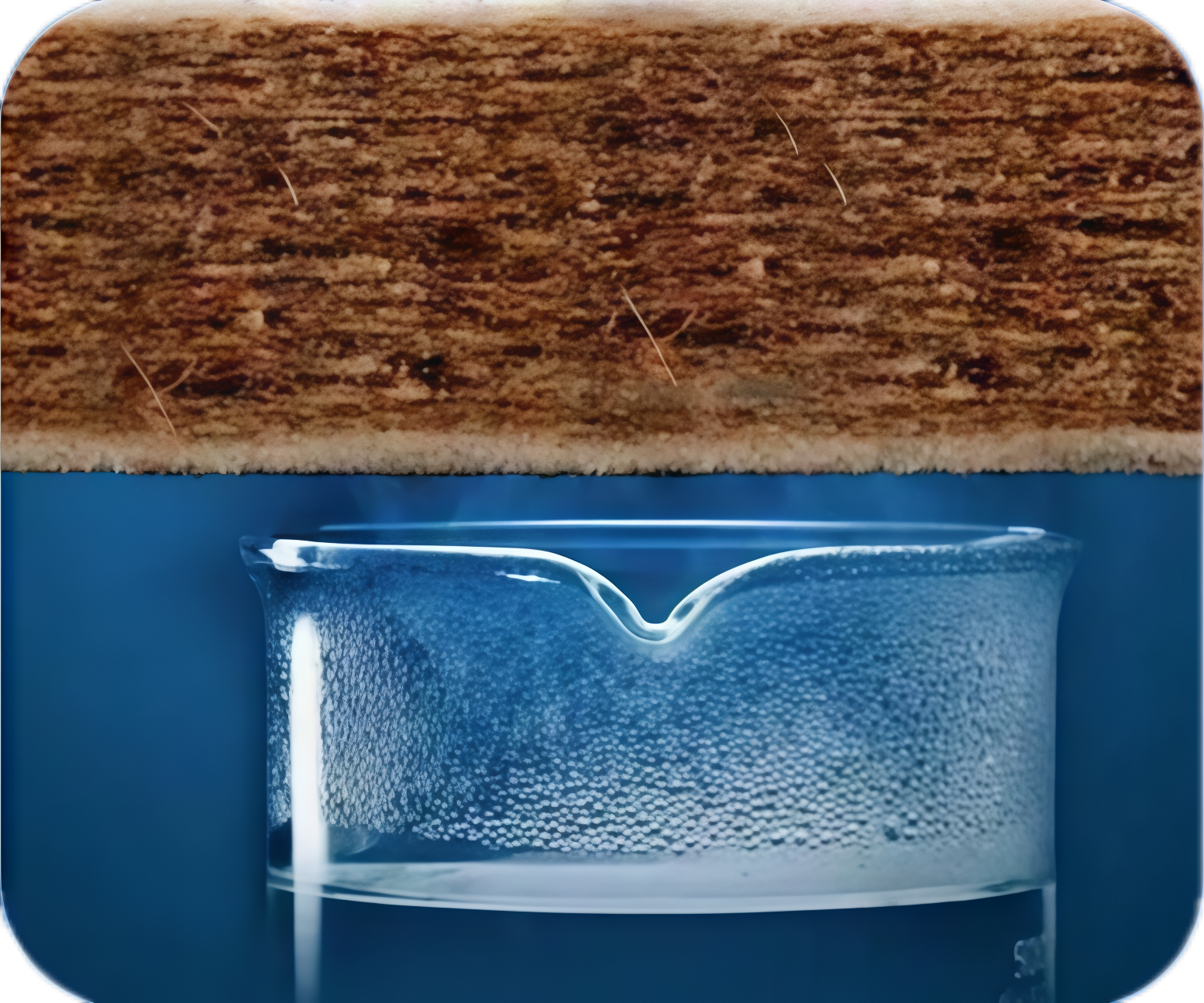 Natural Jute Fiber Layer Detail